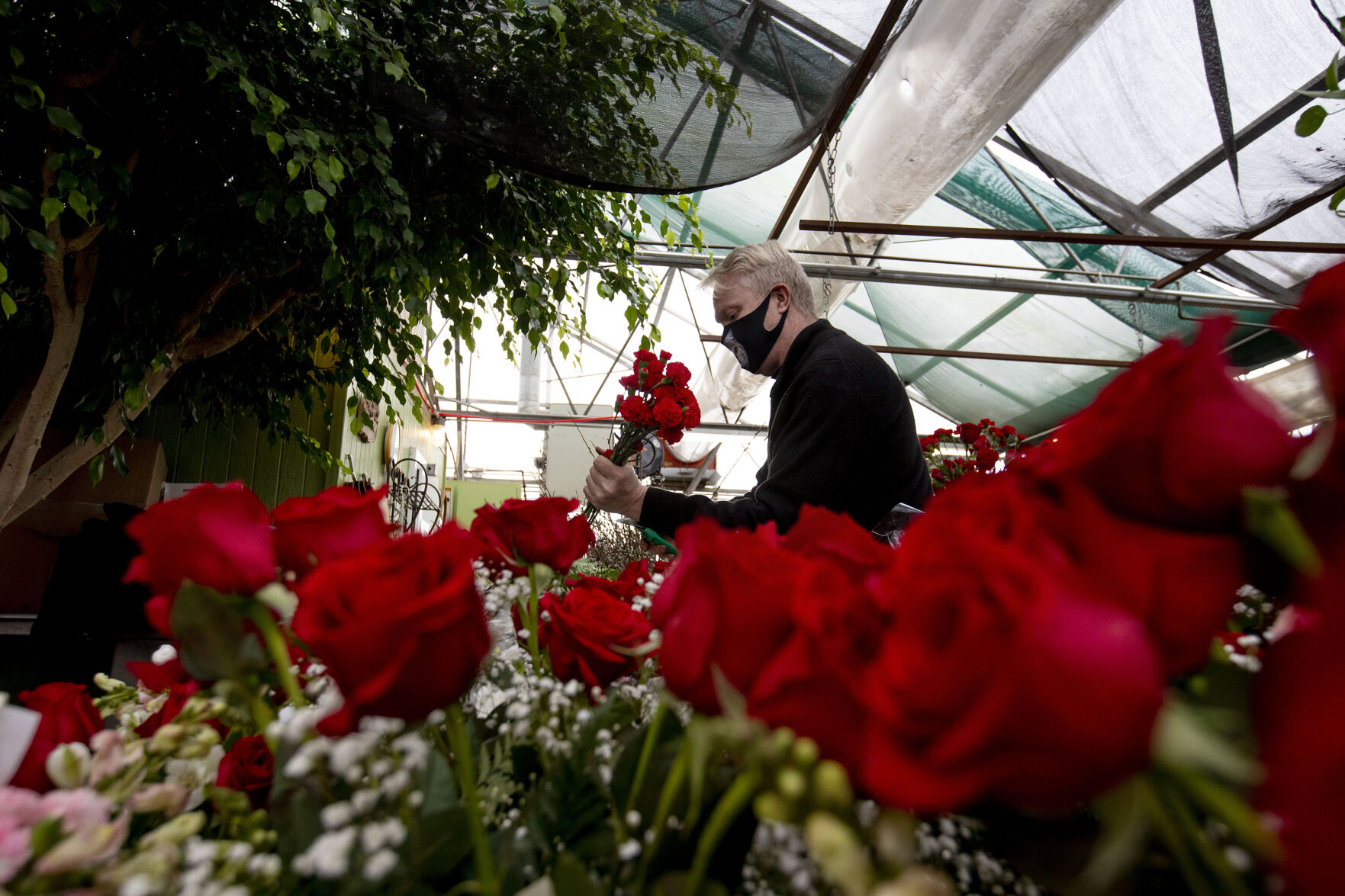 021321-news-vdayroses 02.jpg